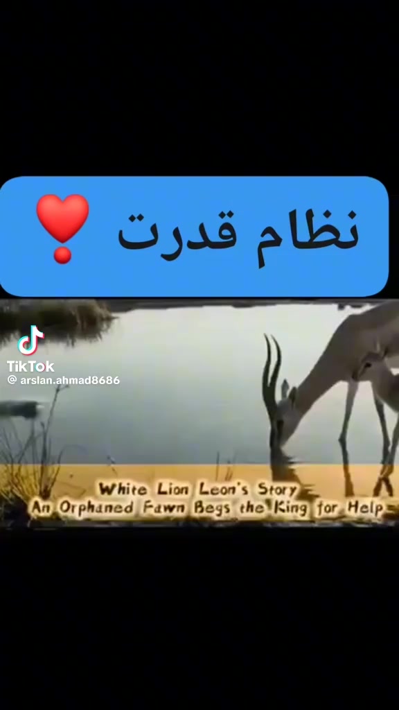 @Inamullah khan