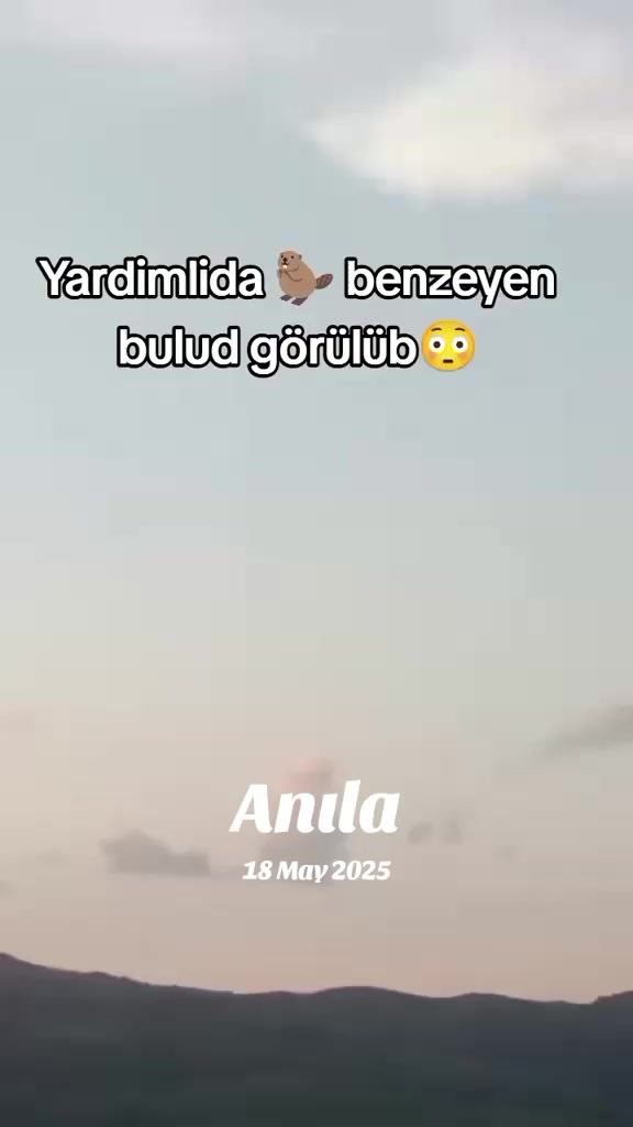 @shemsamanova