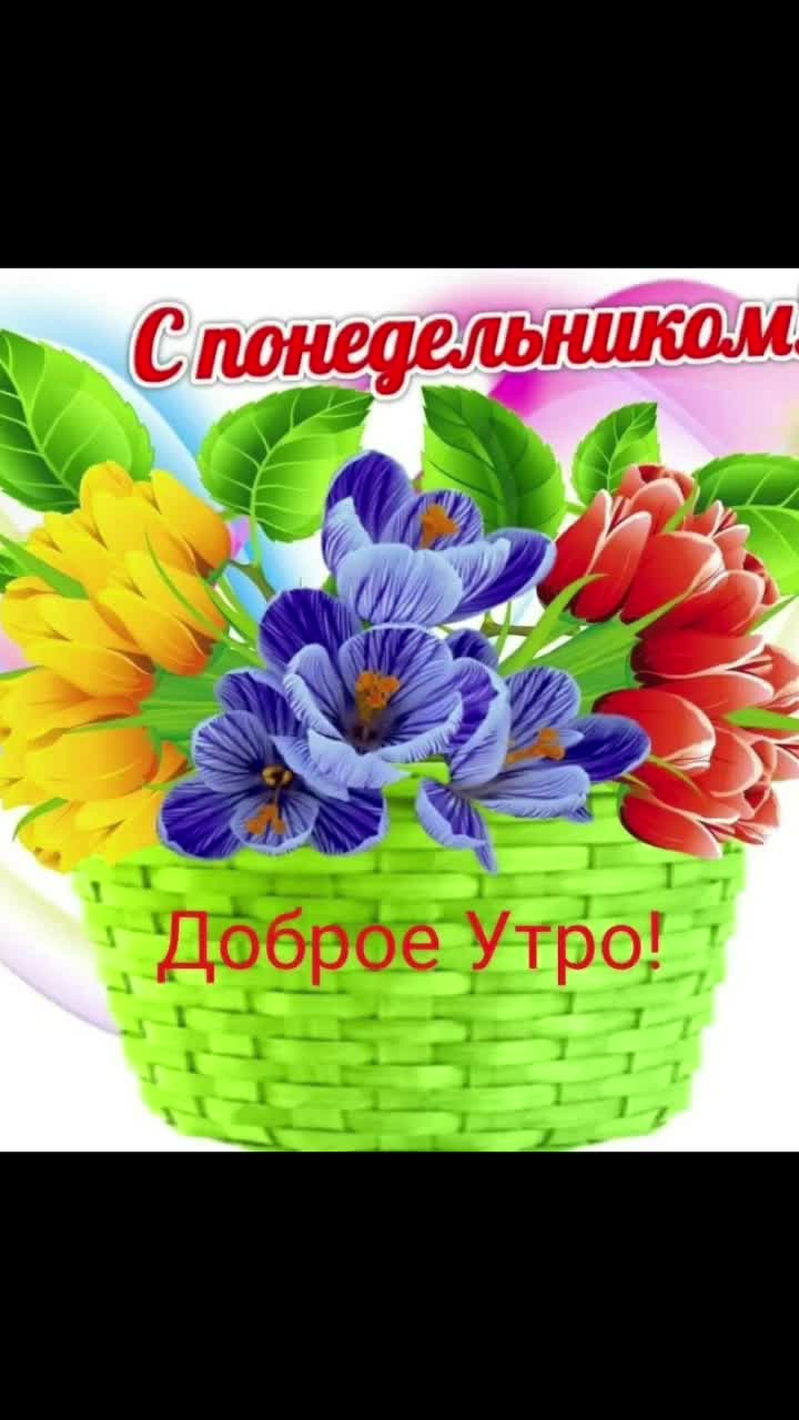 @Ane4ka71