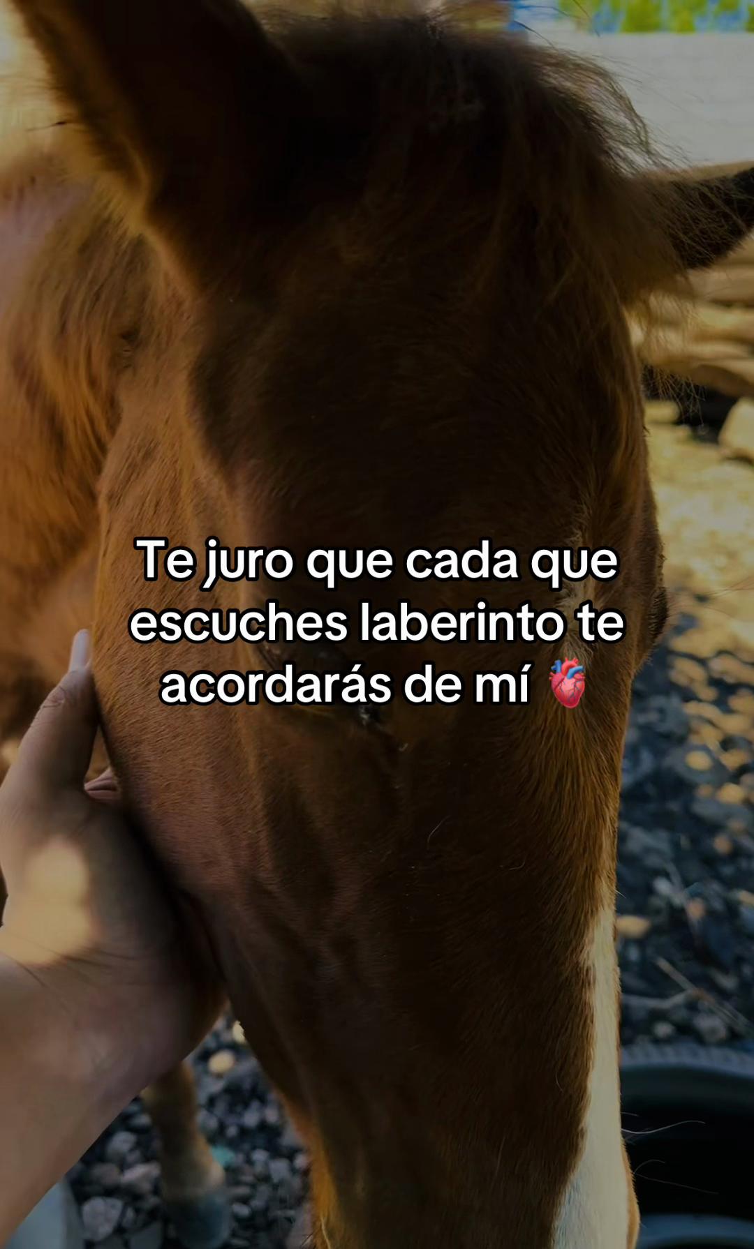 @ErickValenzuela