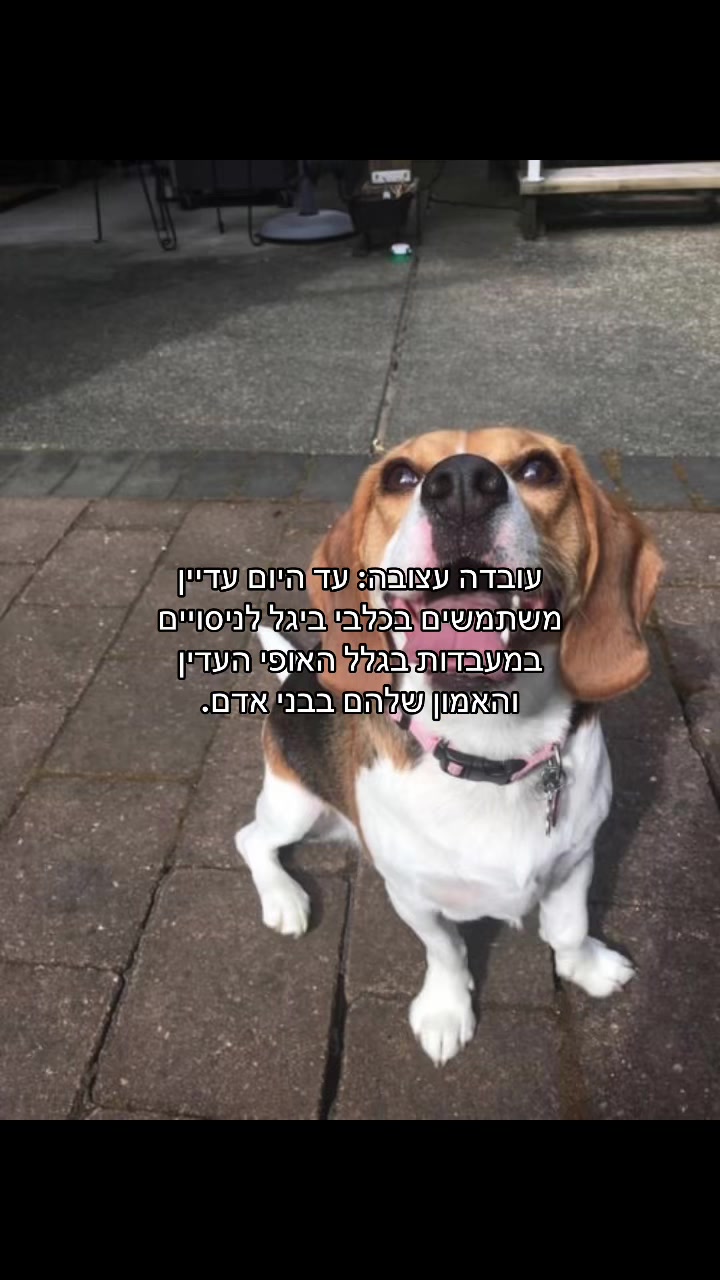 @sVae