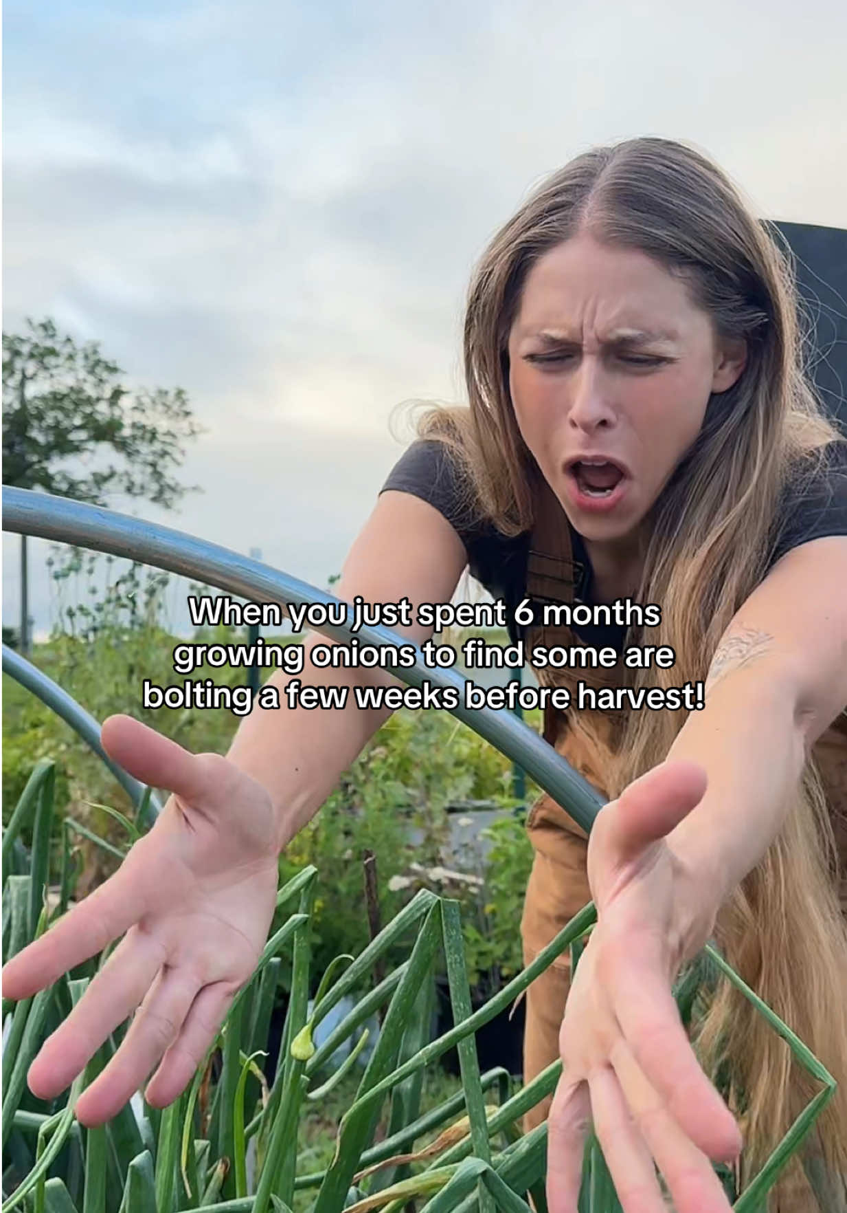 @Itsbreellis