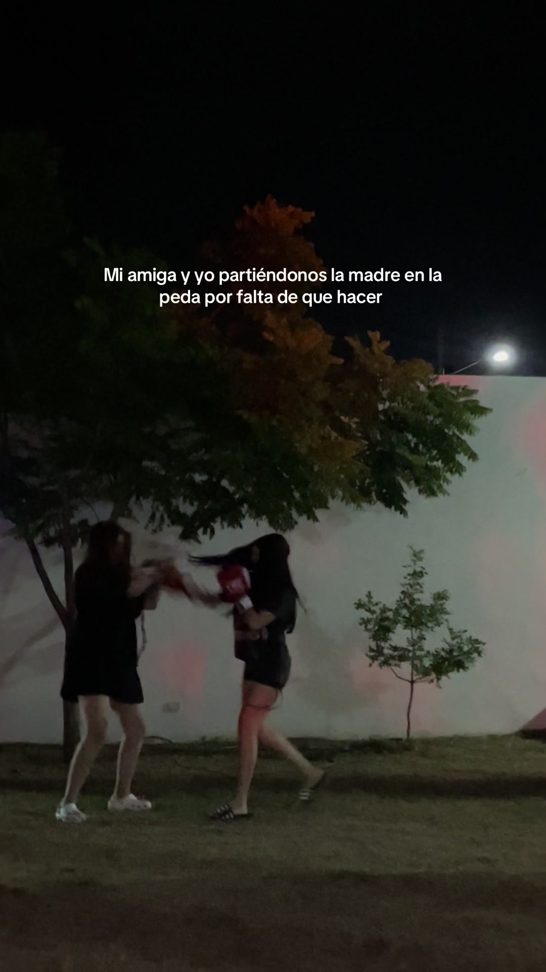 @𝑅𝑒𝓃𝒶𝓉𝒶