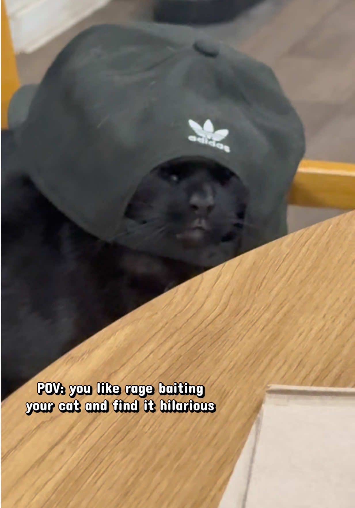 @whatthepurr