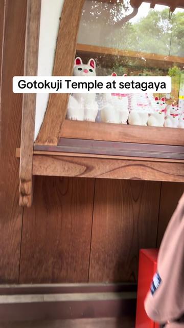 @Kawai ivy may