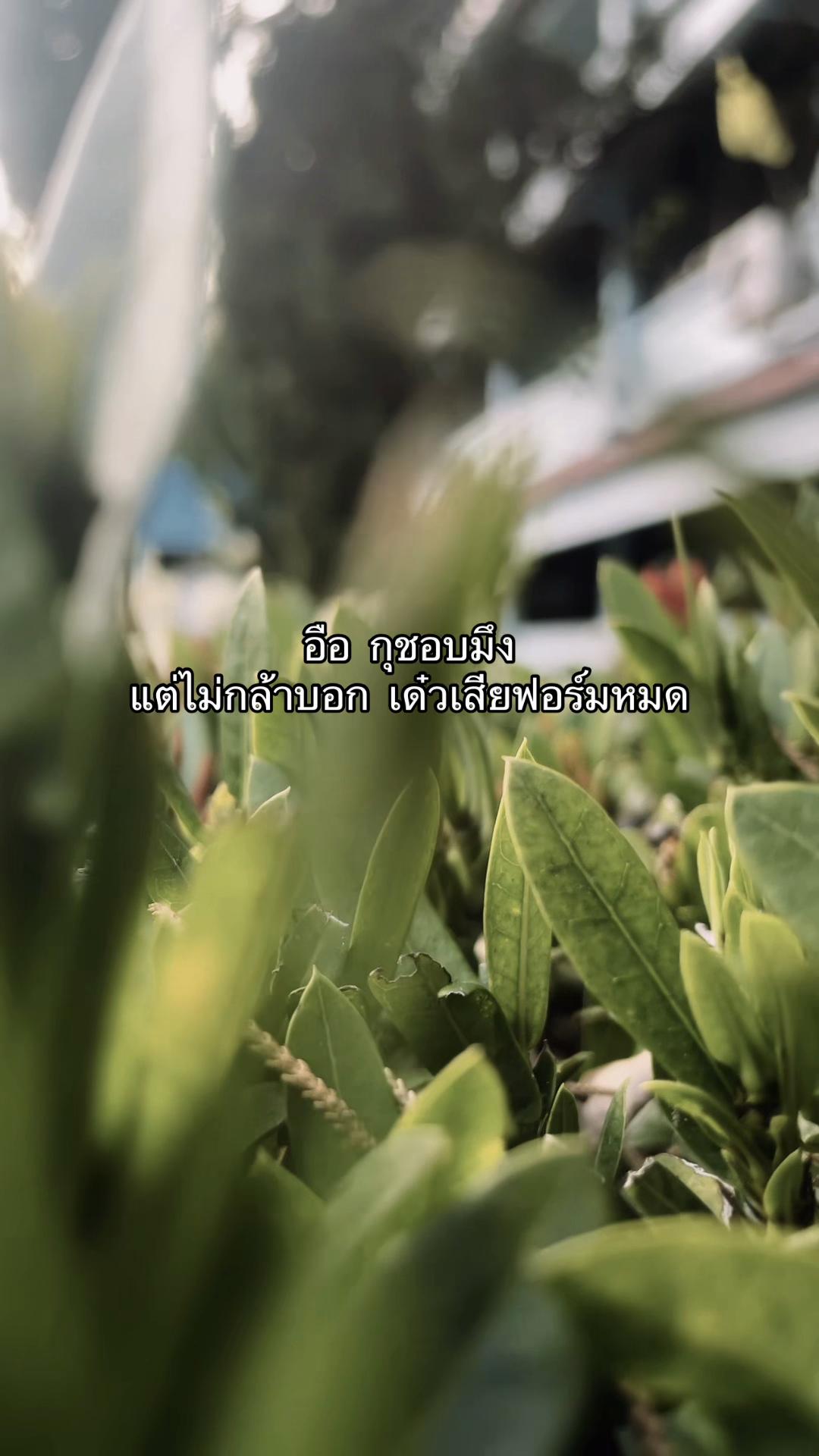 @.☘︎ ݁˖𝒲𝒶𝒾𝒾 𓈒ˑ͙ 𓈒 𓏤