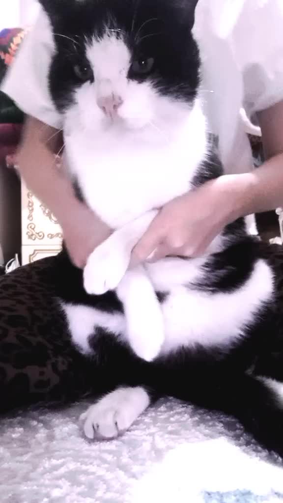 @Мукабай 🐈
