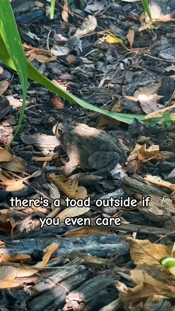@frogs and autism