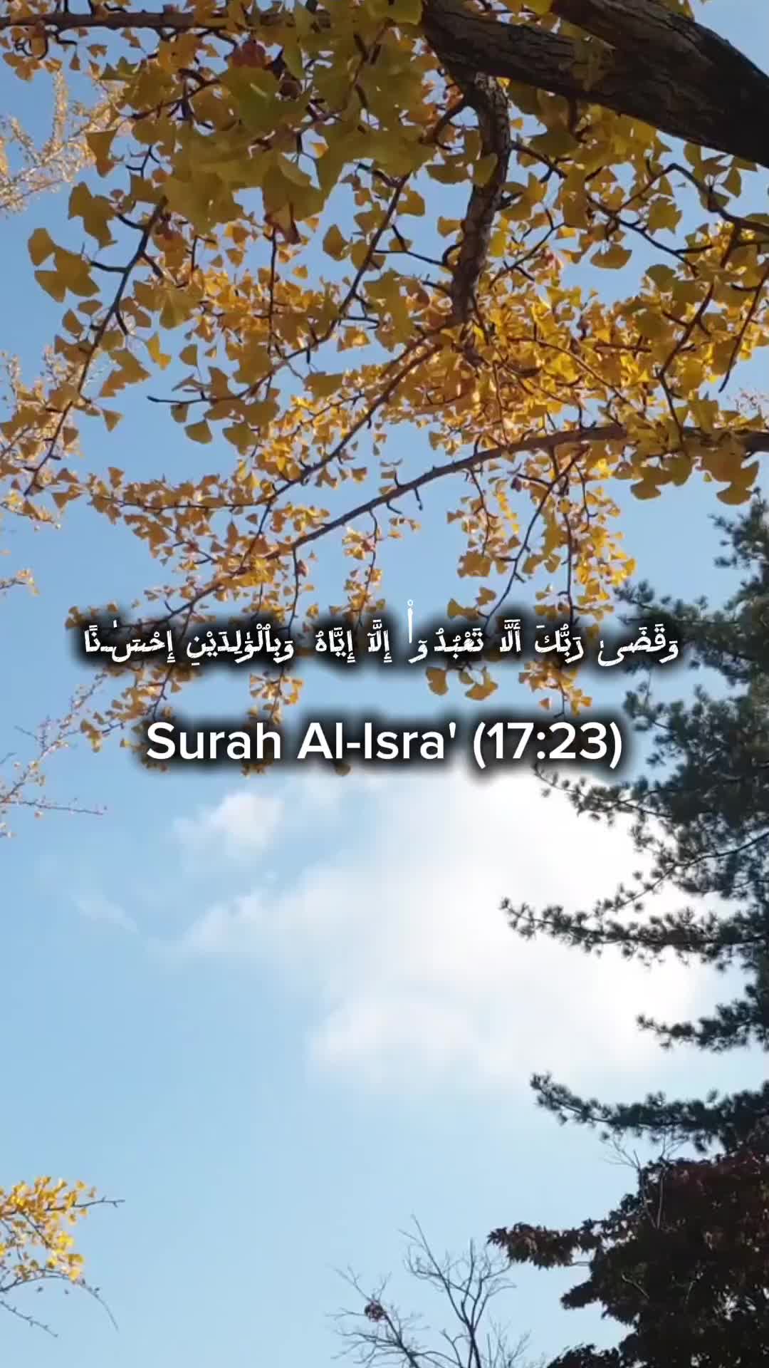 @Amjad