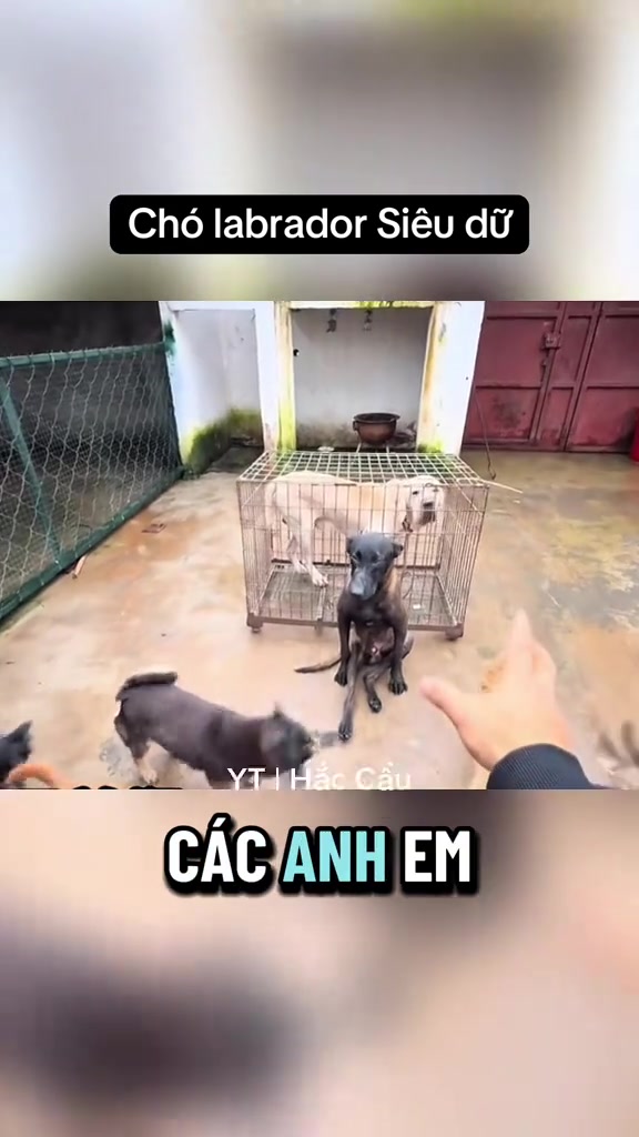 @Dương Anh 22