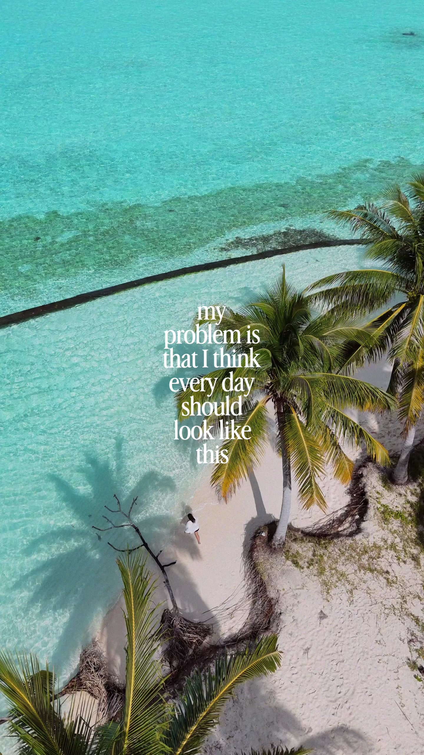 @Maj🌻