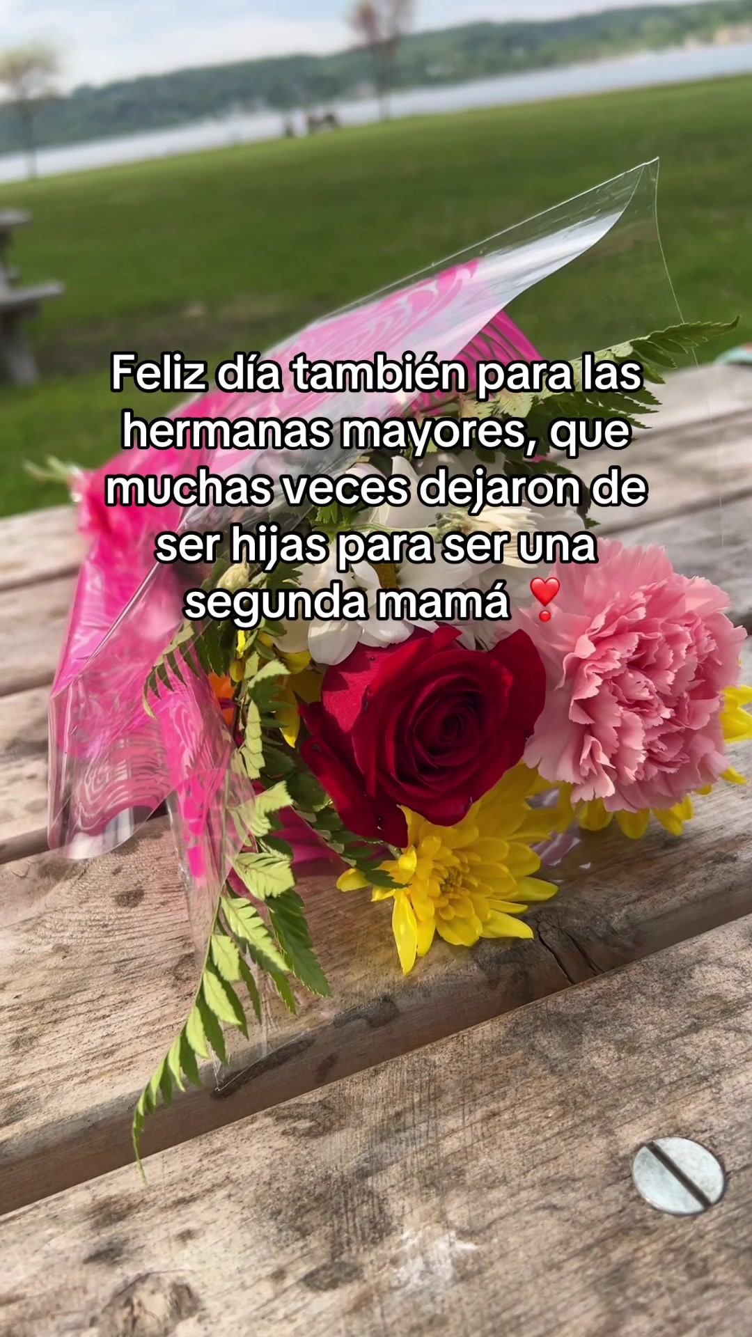 @𝒥𝑜𝒽𝒶_𝓃𝓃𝒶🌸