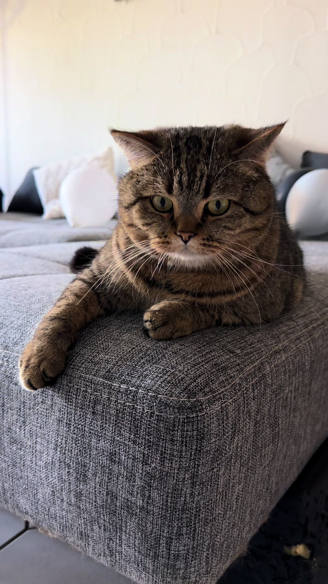 @Джоні 😻