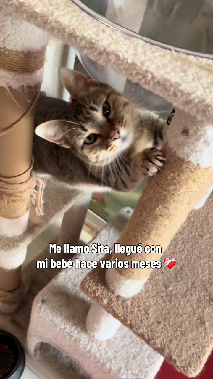 @Santuario Victoria