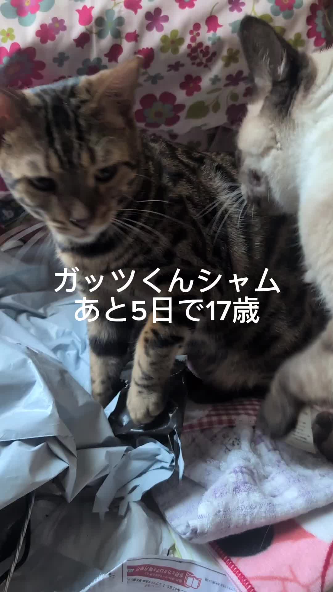 @睡眠プロデュース