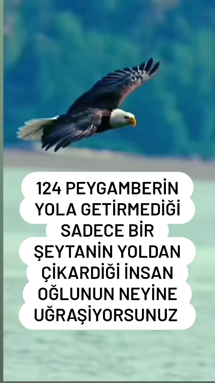 @mervan ay