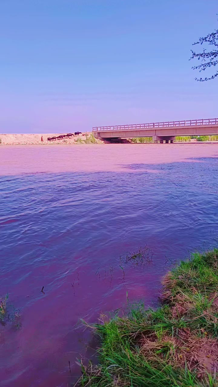 @رياض بلوچ