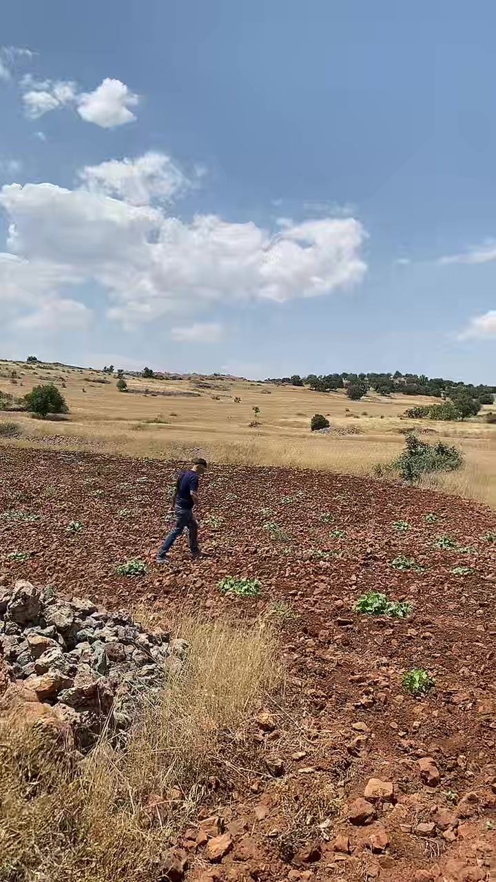 @halildenli21