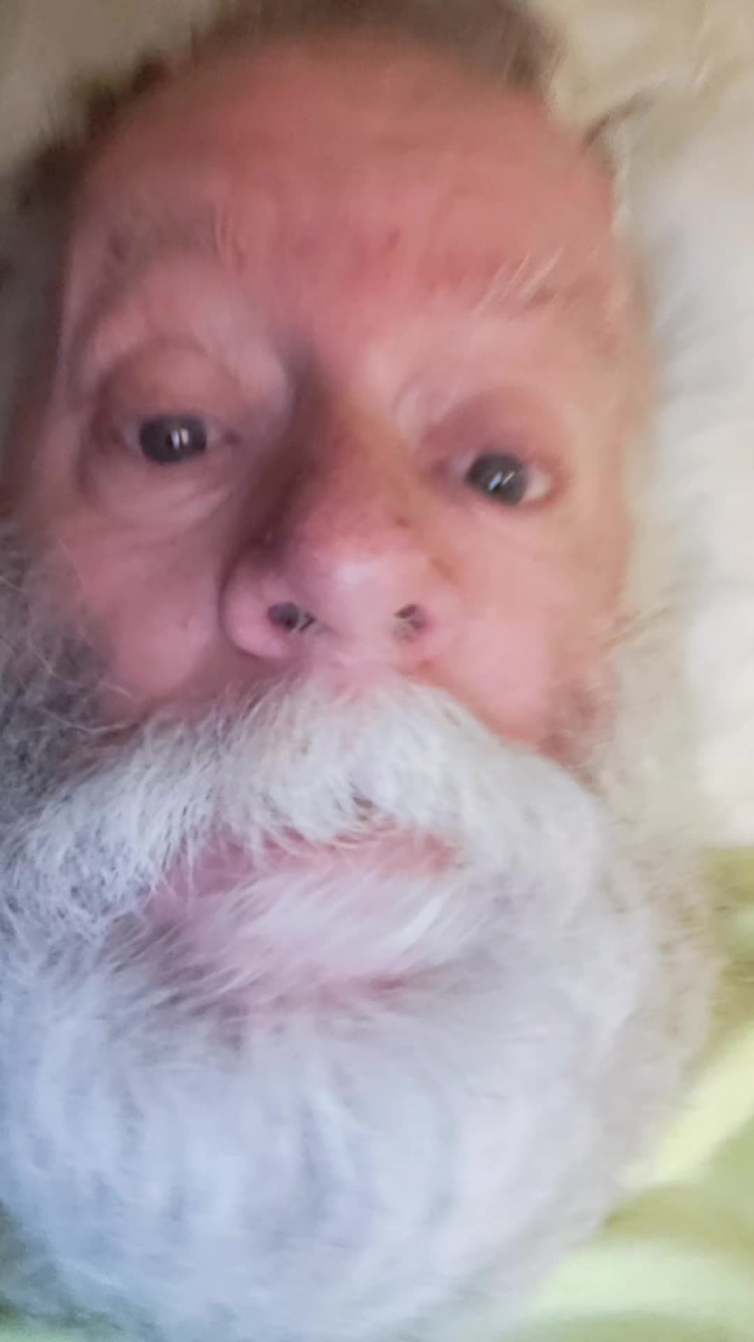 @Jerry Mayenschein