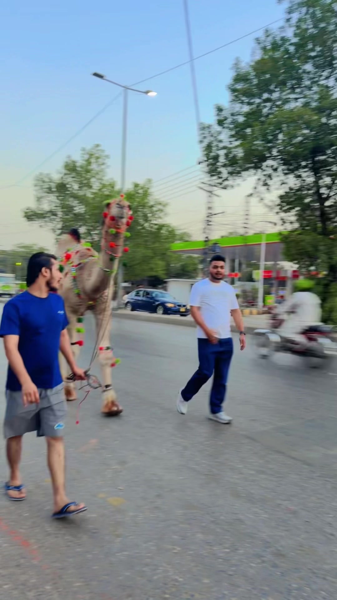 @Wahaj Khan