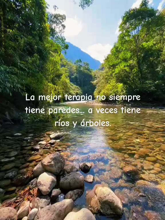 @Meda_mj
