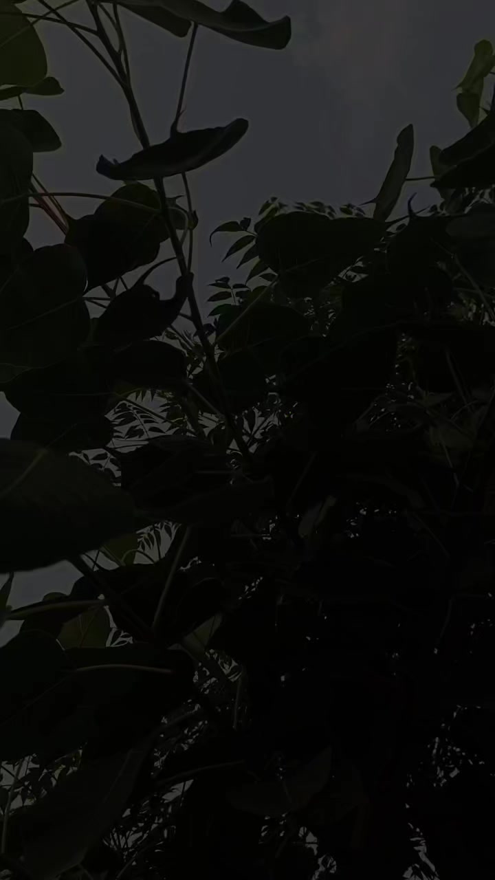 @𝑬 𝑴 𝑨 𝑵 ♥️