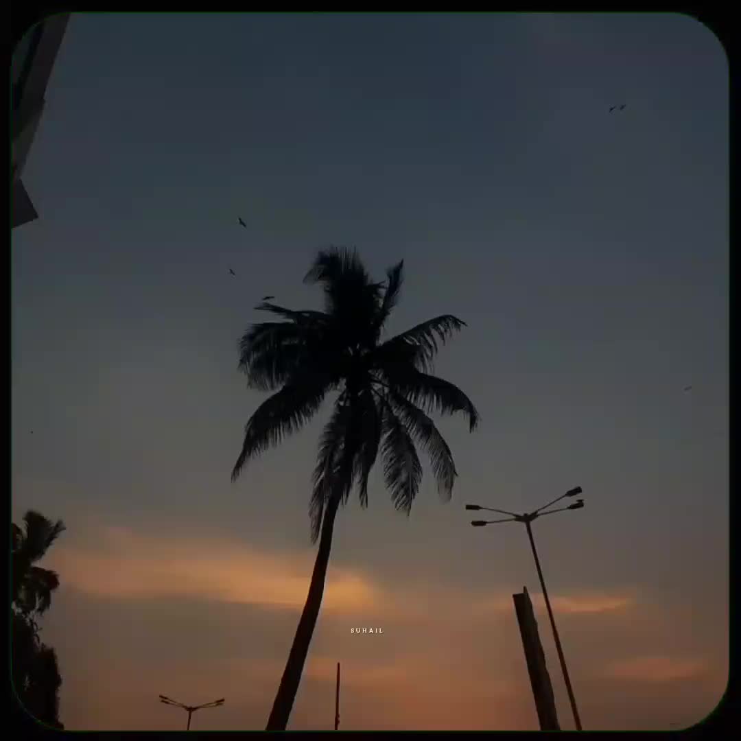 @โก ๐๐๐๐๐๐ โกโณ๐
