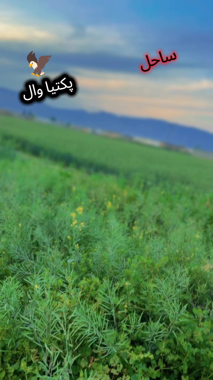 @&hearts;️ساحل پکتیا وال &hearts;️
