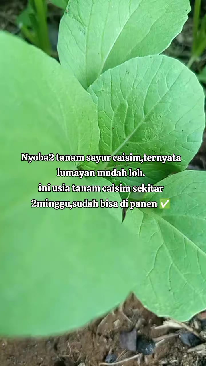 @eka