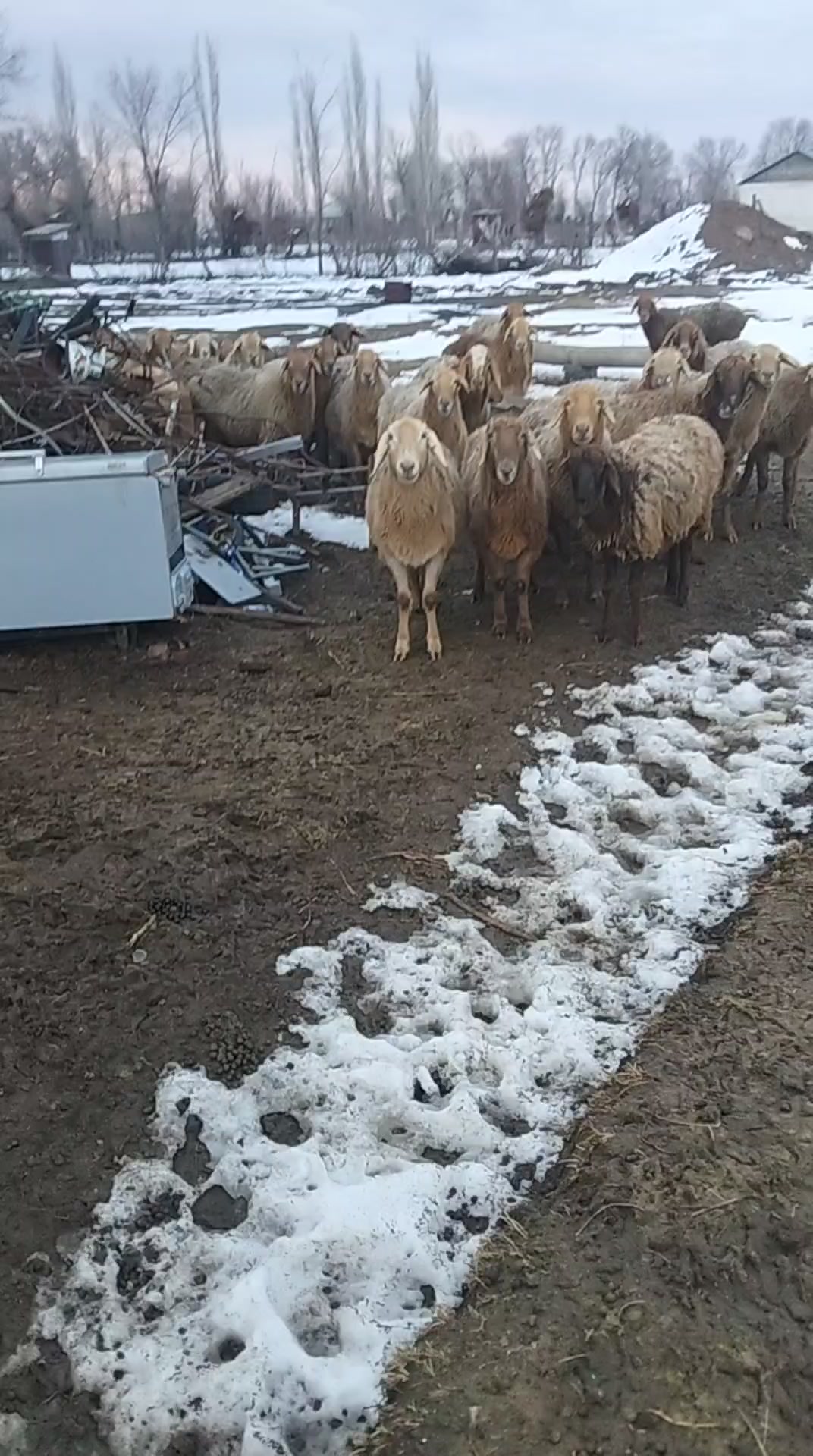 @Рахат