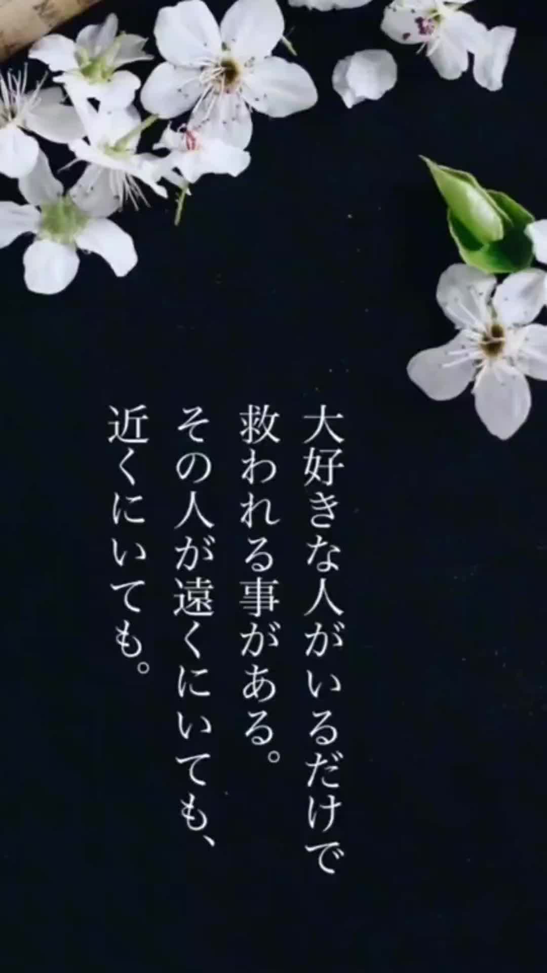 @ゆうか2000 ̄(=∵=) ̄