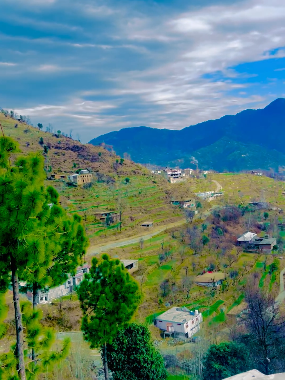 @🌲غر سنے 🌲