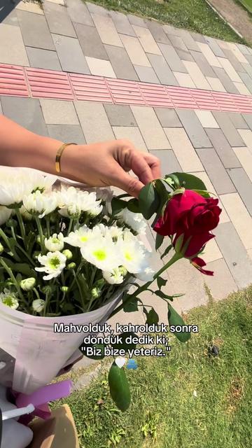 @rabiaslan35