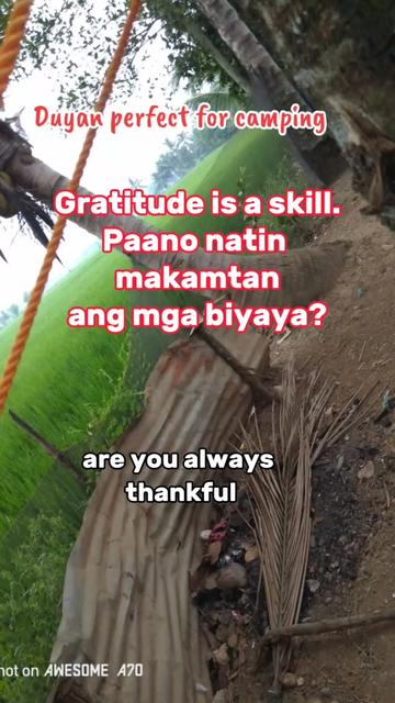 @Evelyn Cornetes