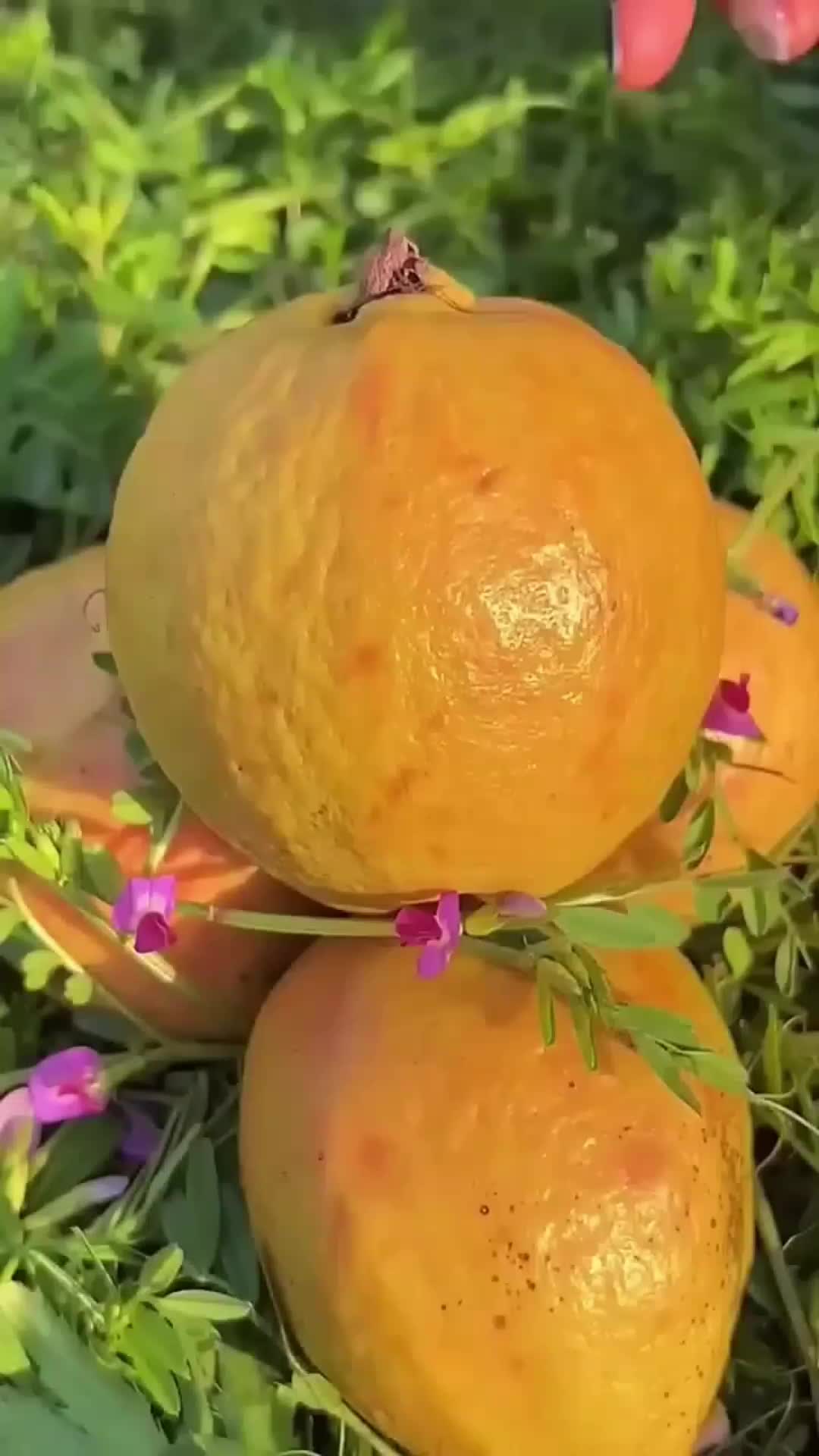 @𝐈𝐒𝐋𝐀𝐌𝐈𝐂 𝐕𝐈𝐁𝐄𝐒🥀