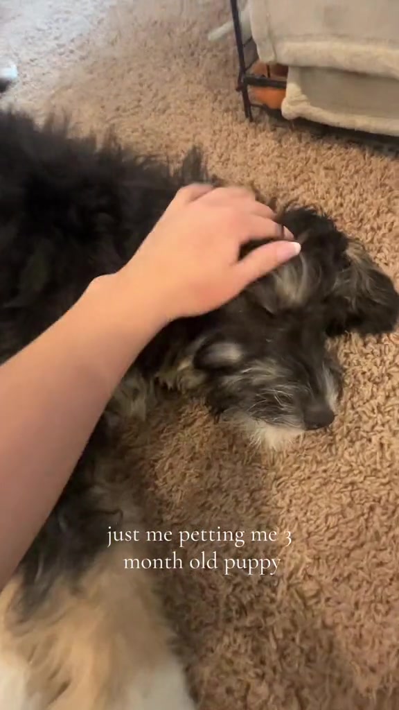 @💝💝