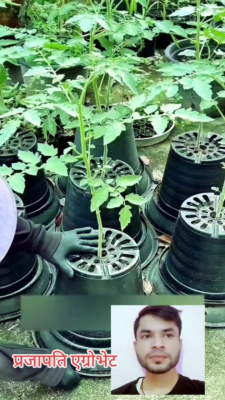 @Prajapati Agro Vet