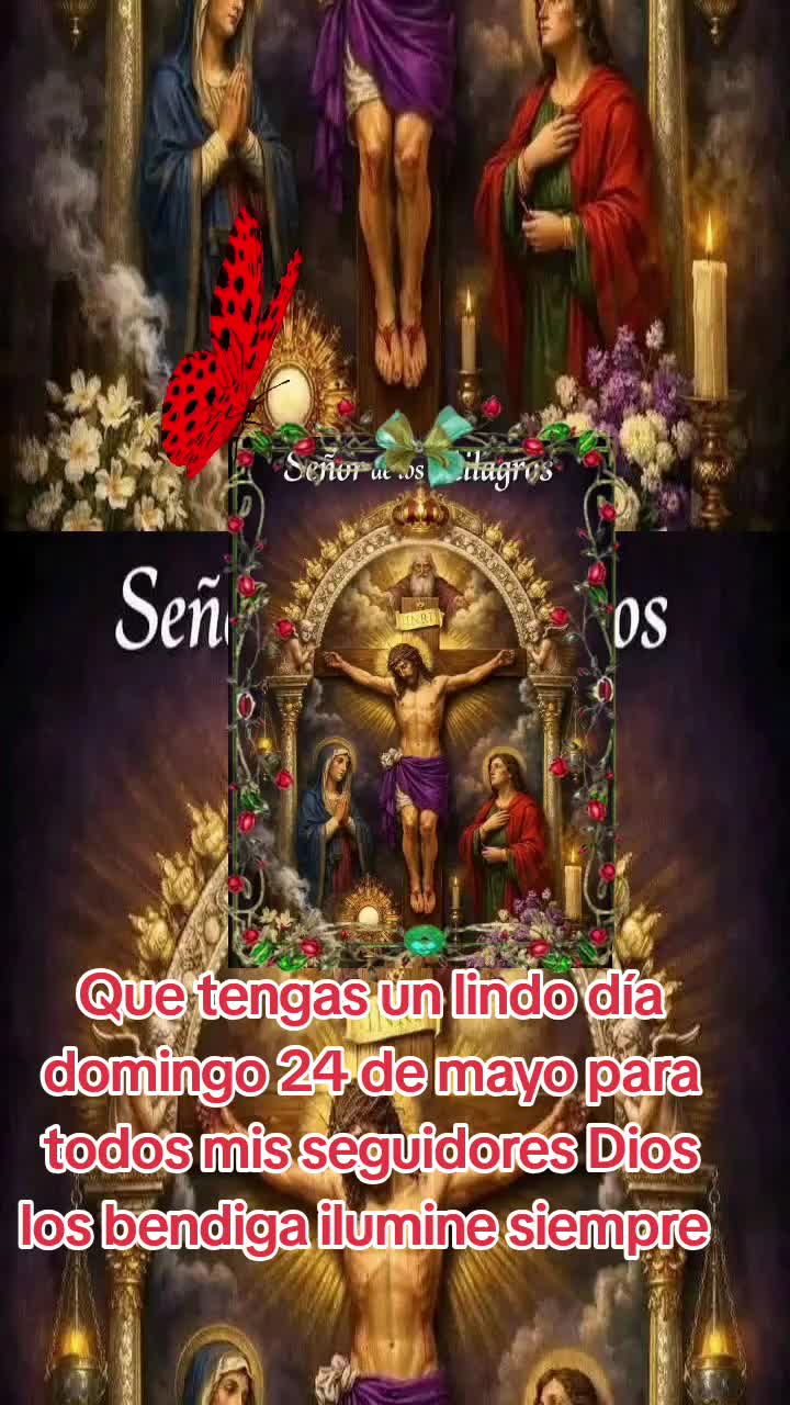 @joserobertocabr48