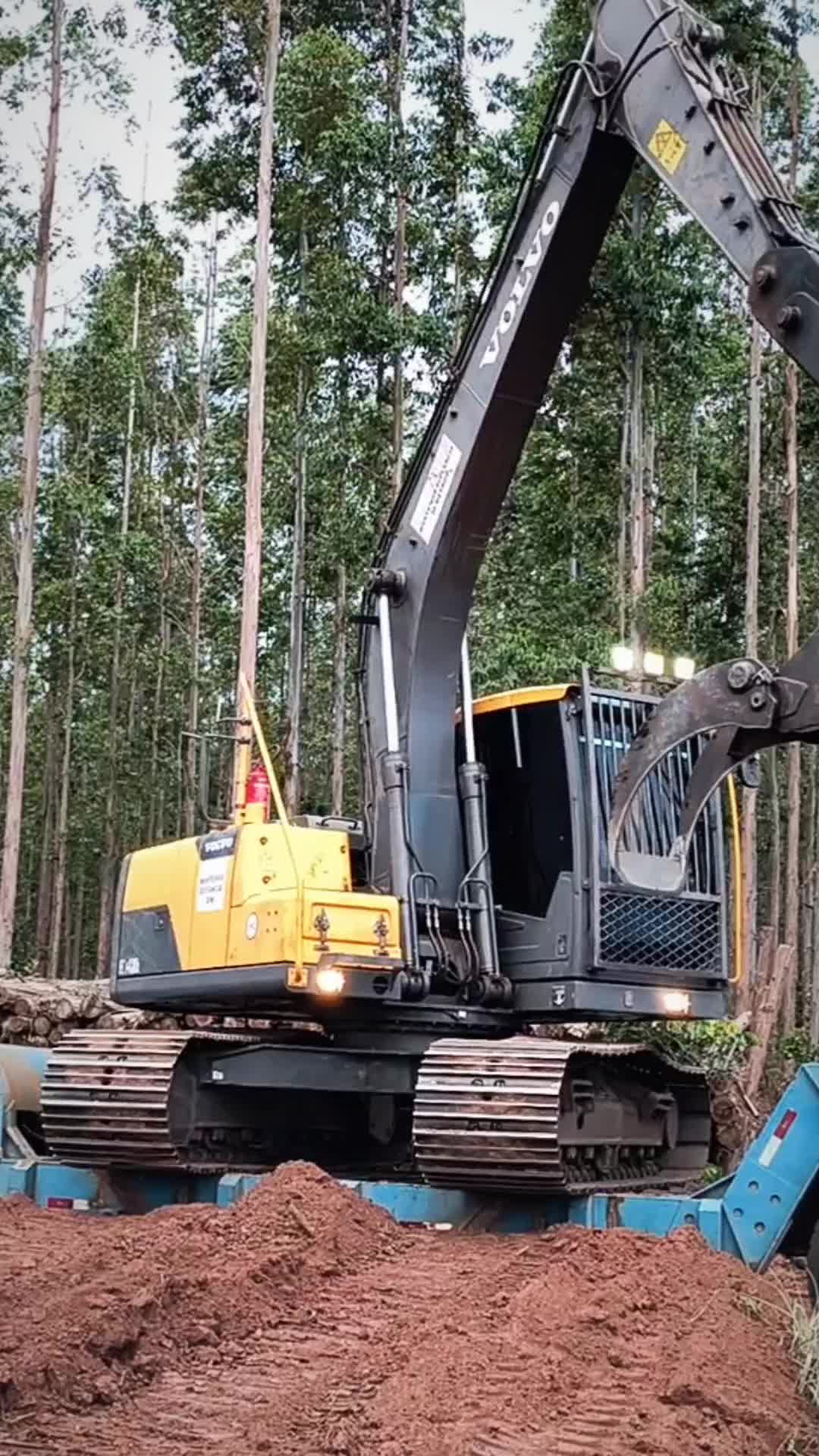 @Thales Almeida 🦾🌲