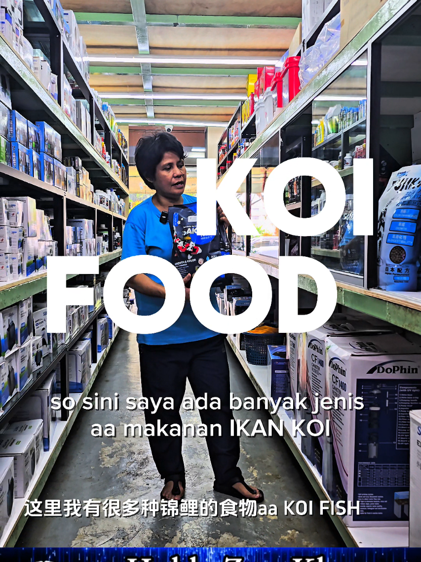 @HOBBY ZON