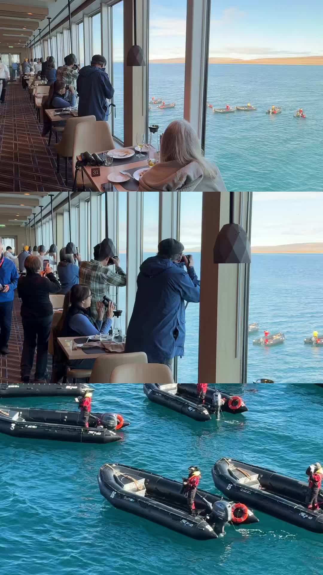 @XPDtion🐋🚢⚓️