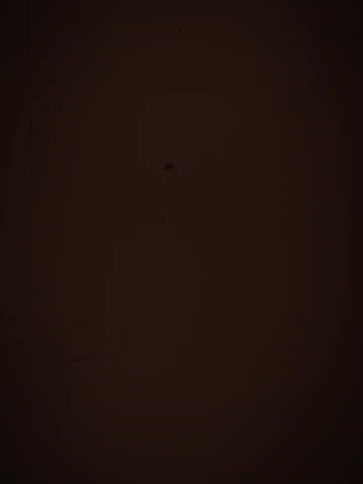 @๐๐๐ฆ๐๐๐ช๐๐๐๐ฟ๐น