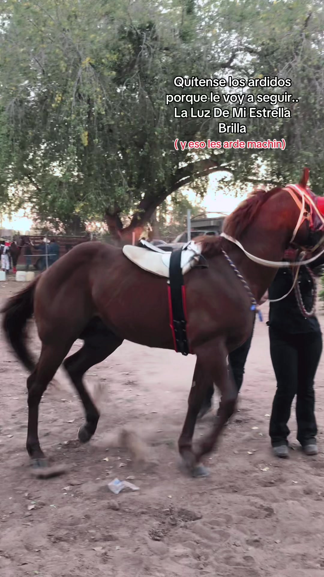 @Anye guzman🏇🏻