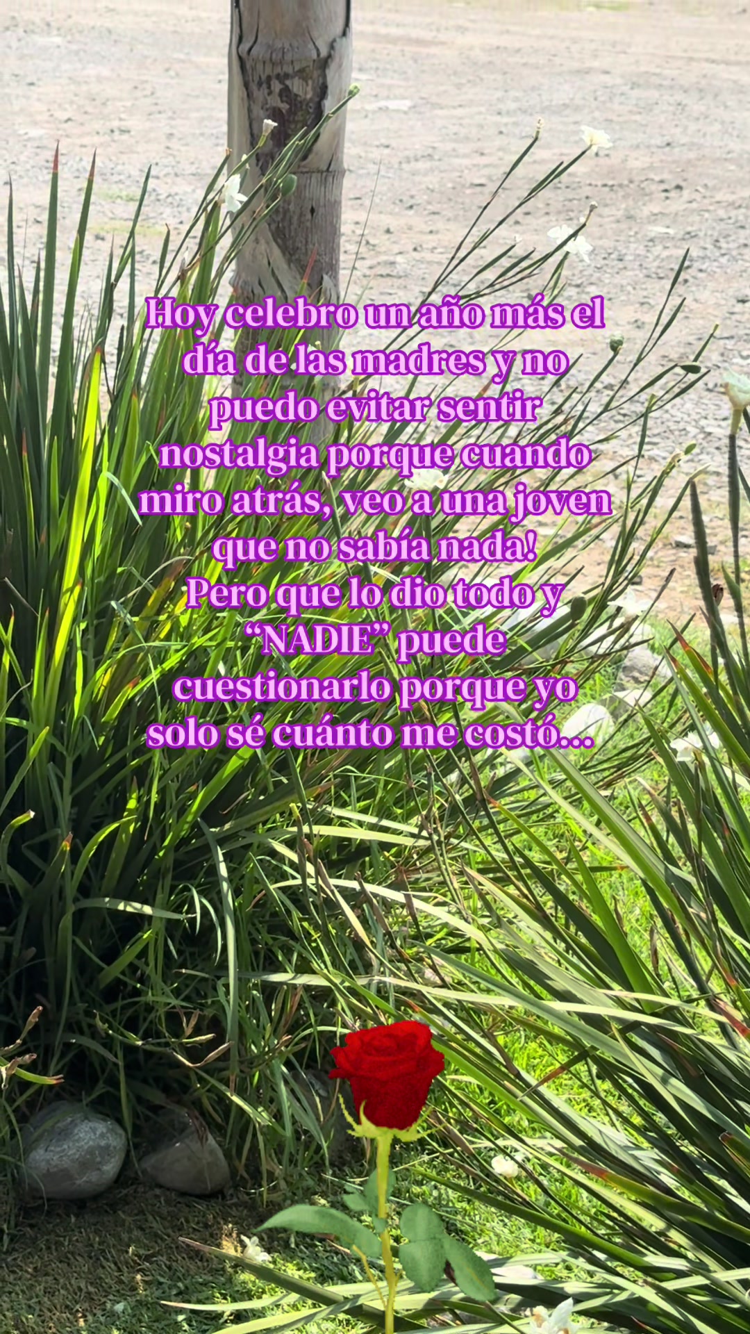 @Nayelii Cruuzz
