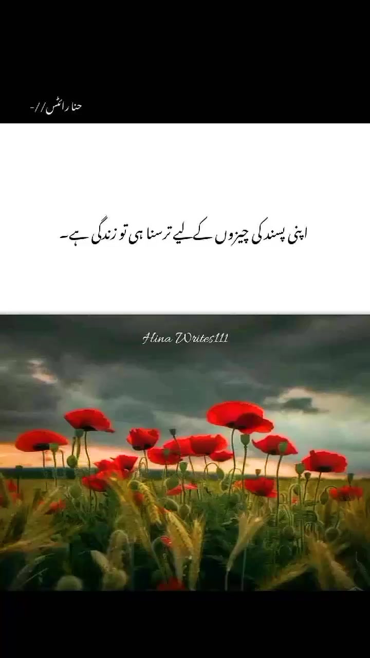 @Saim🫀