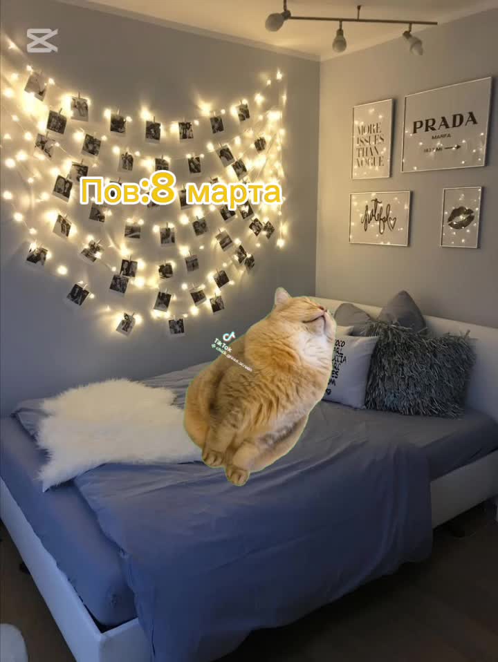 @𝐤𝐚𝐭𝐲𝐚𝐱𝐰𝐪_🐈⬛