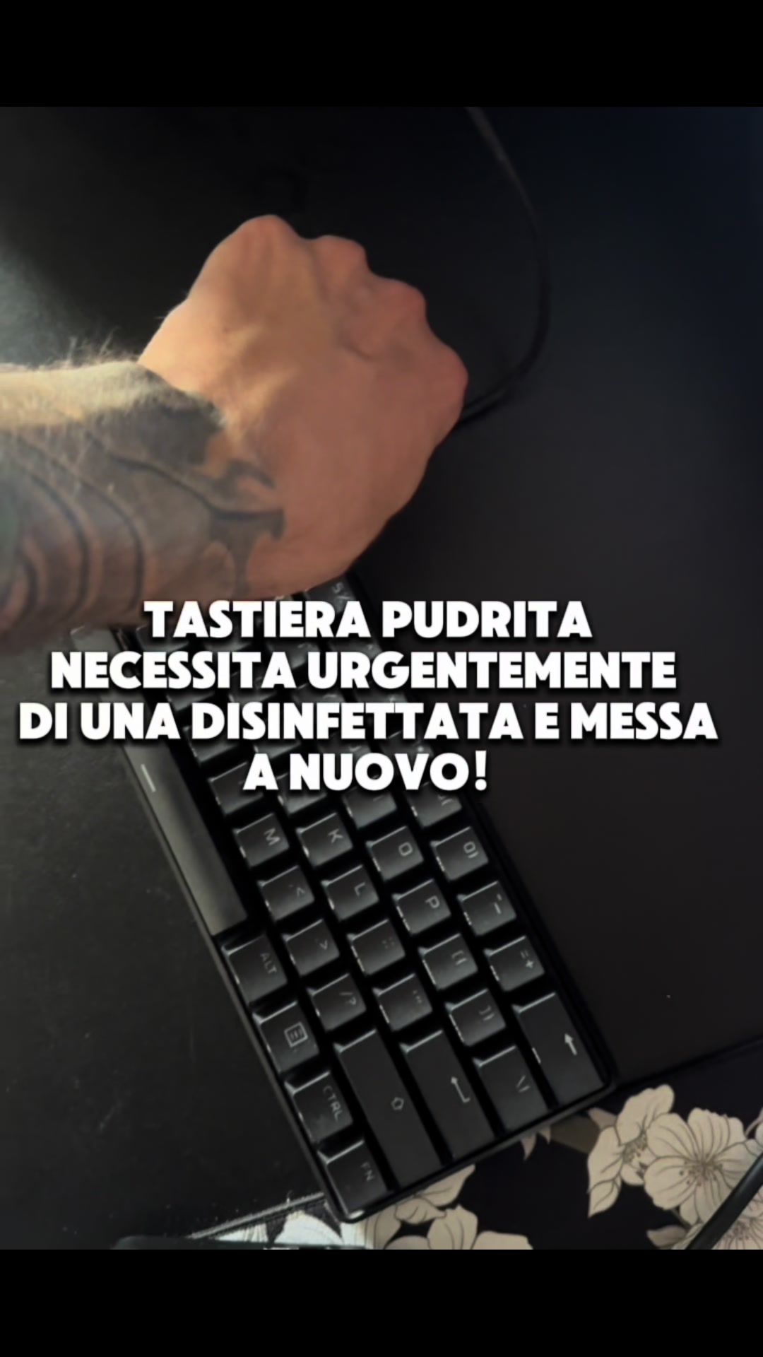 @𝐊 𝐎 𝐁 𝐄 𝐑