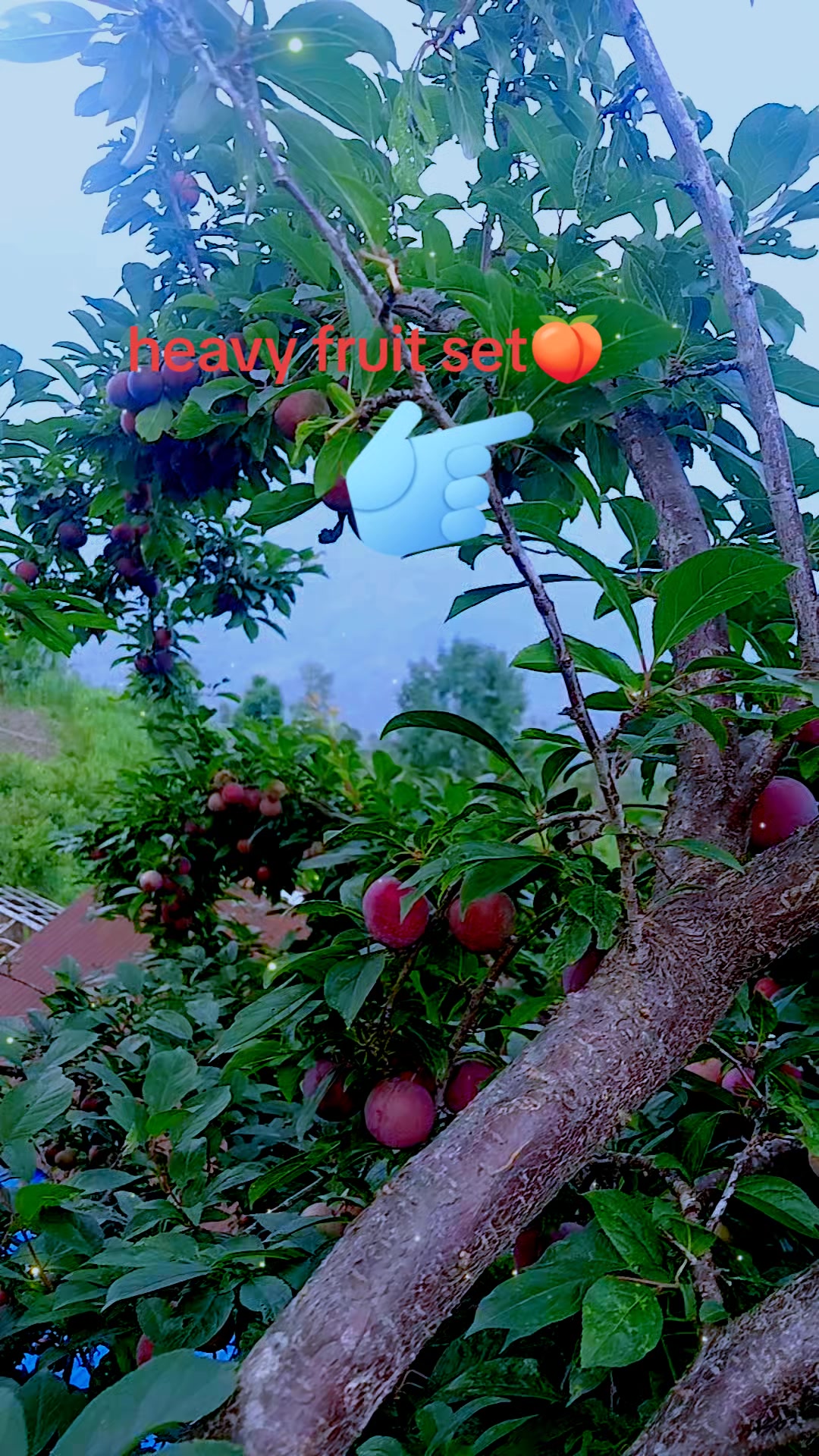 @Mr.Teju🥰