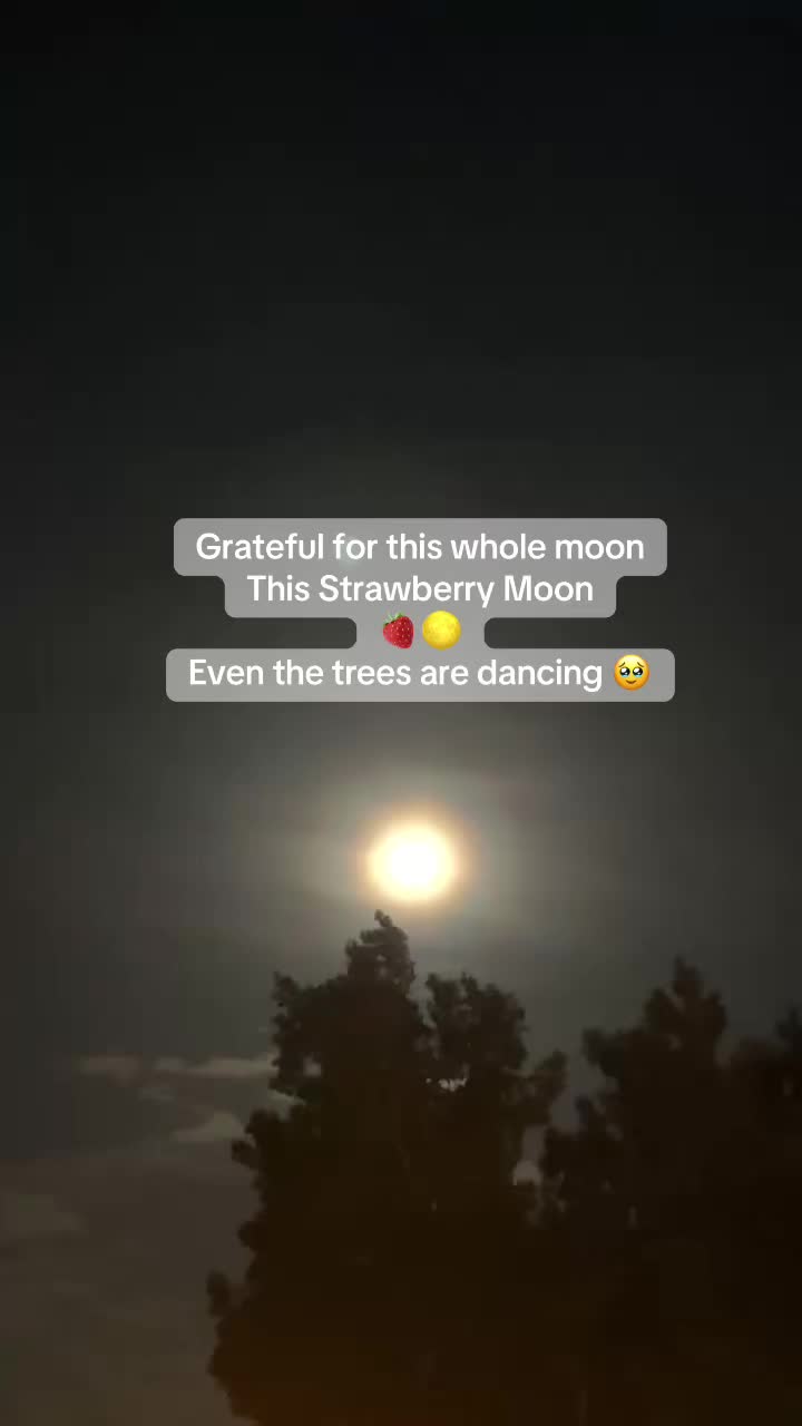 @biidaabanookwe666