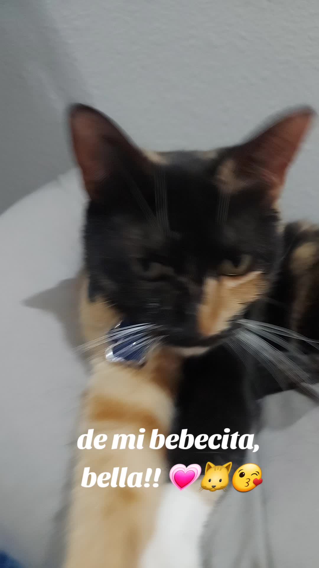 @lolis_amor❤️🔥